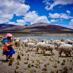 wanderlust tips 9 ly do nen den peru 7