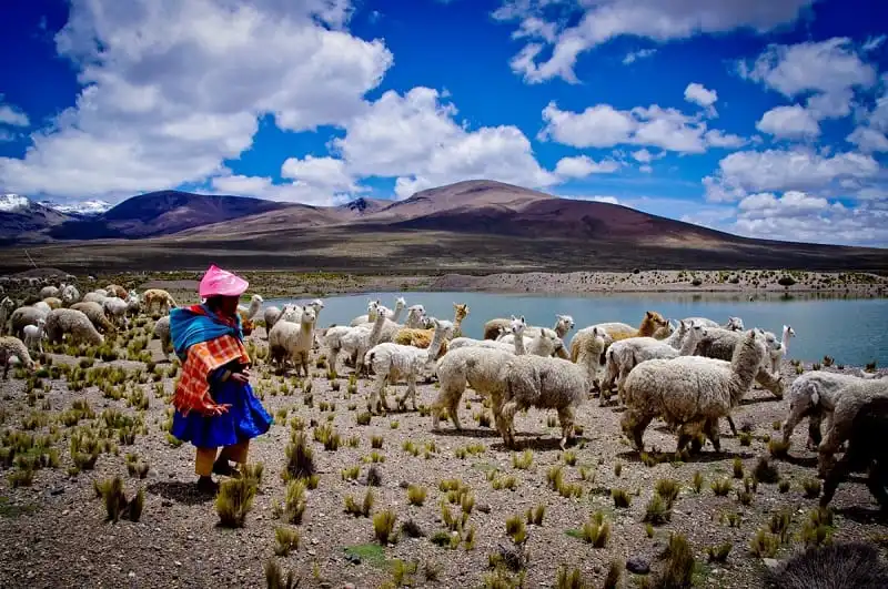 wanderlust_tips_9_ly_do_nen_den_peru_7