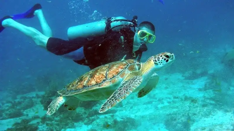 wanderlust_tips_cu_lao_cham_mua_ngo_dong_4