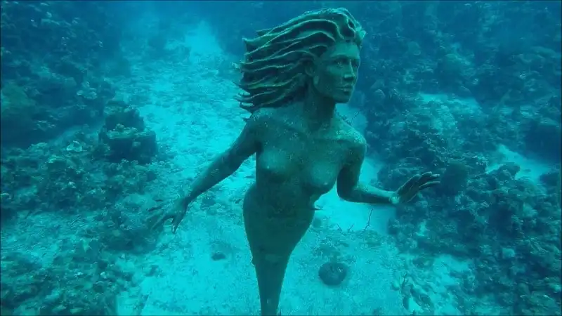 10 điểm tham quan kỳ bí dưới lòng đại dương 13 wanderlust_tips_dai_duong_3