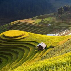 wanderlust tips he nay di mu cang chai 1