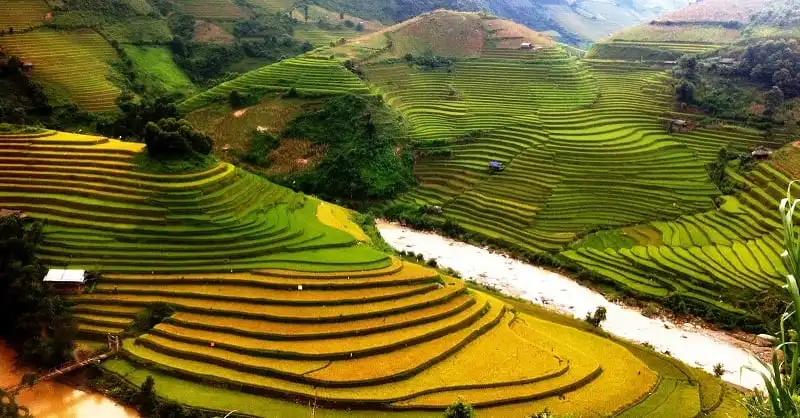 wanderlust_tips_he_nay_di_mu_cang_chai_5