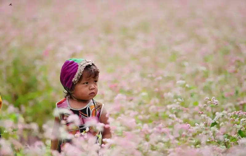 wanderlust_tips_le_hoi_hoa_tam_giac_mach_2