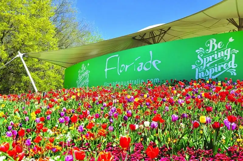 wanderlust_tips_loi_hen_uoc_mua_xuan_nam_ban_cau_3