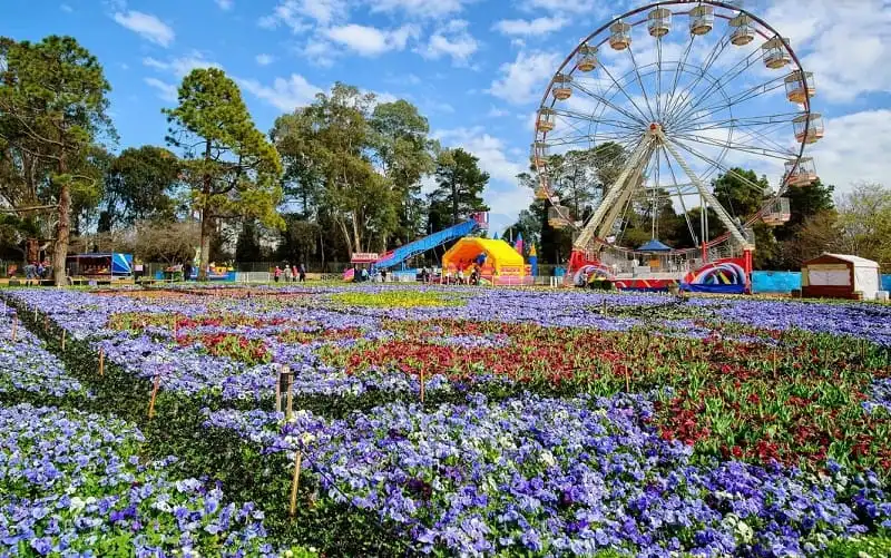 wanderlust_tips_loi_hen_uoc_mua_xuan_nam_ban_cau_4