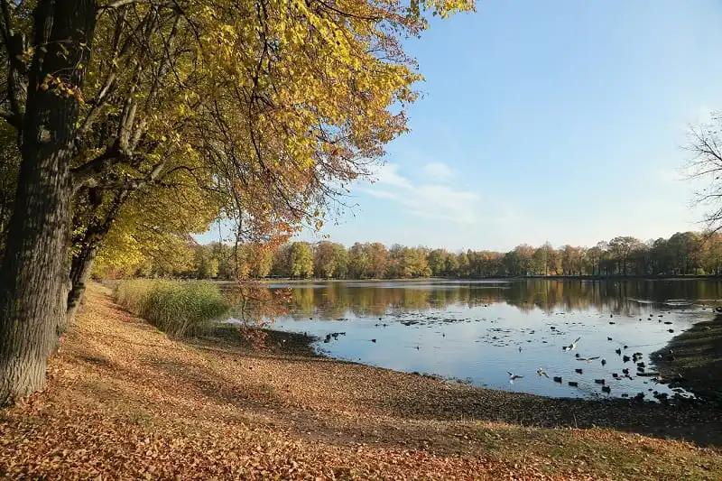 Say đắm mùa thu vàng nước Nga 11 wanderlust_tips_mua_thu_vang_xu_bach_duong_3