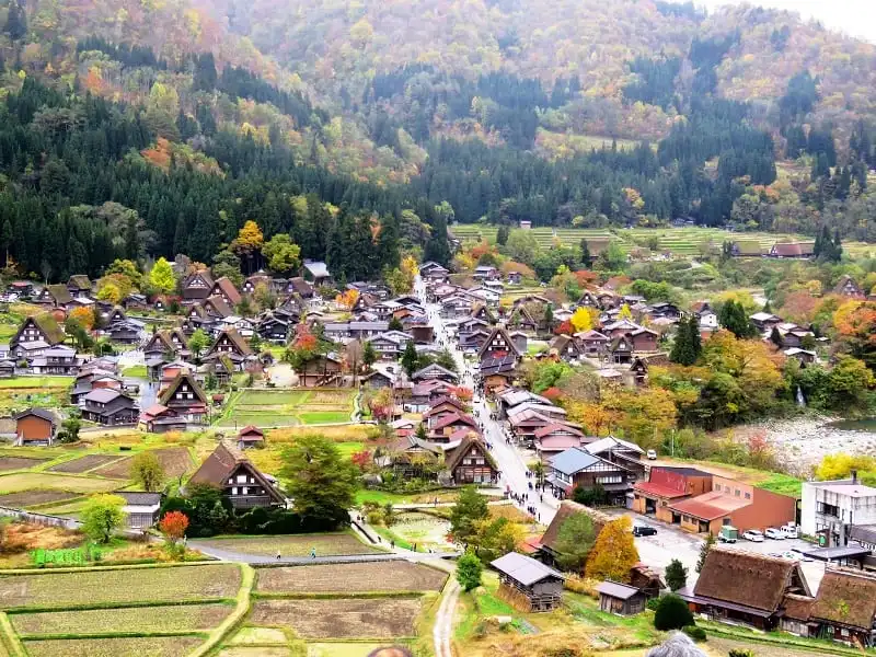 Mùa thu đến Nhật Bản chiêm ngưỡng lá đỏ Momiji và hoa anh đào nở trái mùa 7 wanderlust_tips_nagoa_mua_la_do_4