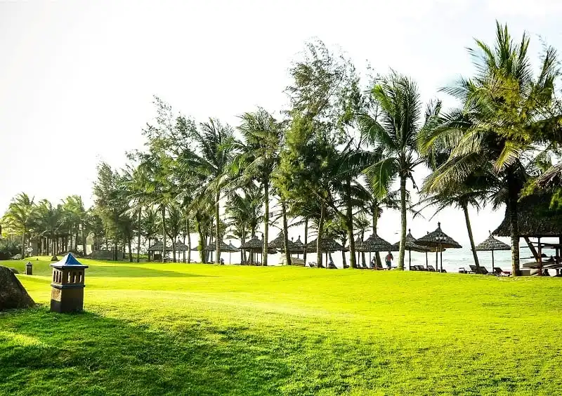 wanderlust_tips_palm_garden_1