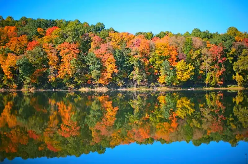 Những chân trời mùa thu nước Mỹ 7 wanderlust_tips_sac_thu_quyen_ru_xu_co_hoa_3