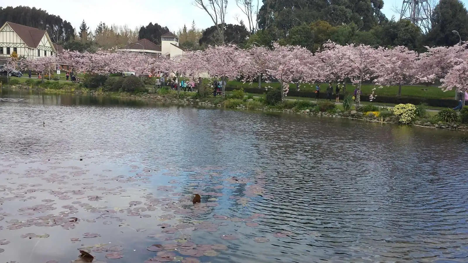 wanderlust_tips_sac_xuan_nam_ban_cau_1