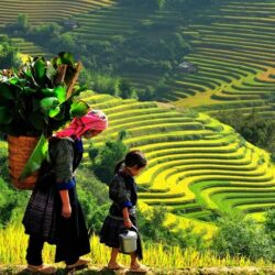 wanderlust tips sapa diem den ly tuong 4