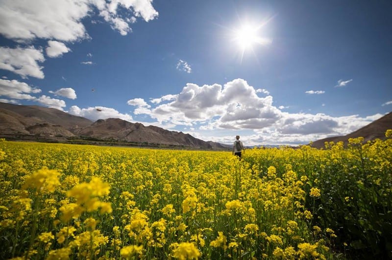 Hành trình tới nơi lưng chừng thời gian (Kỳ 2)