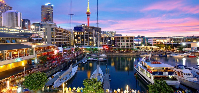 Sắc hoa xuân quyến rũ ở Nam bán cầu