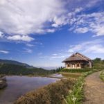 Chiêm ngưỡng 6 homestay cực chất giữa núi rừng Sa Pa