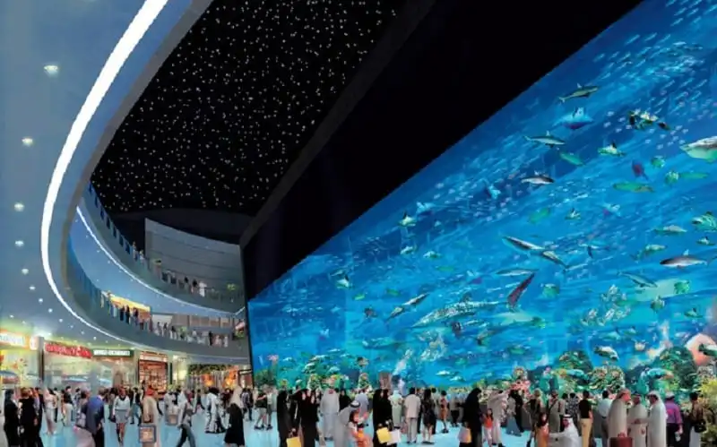 Dubai - thành phố biến điều không thể thành có thể 14 Dubai Mall sở hữu bể cá lớn nhất thế giới.