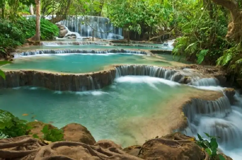 ho-boi-bac-thang-giua-rung-nuoc-xanh-biec-tuyet-dep-o-dat-nuoc-trieu-voi-wanderlusttips1