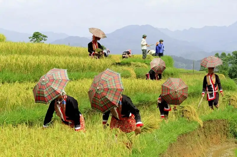 phuot-tren-cung-duong-bien-gioi-binh-lieu-tuyet-dep-wanderlusttips4
