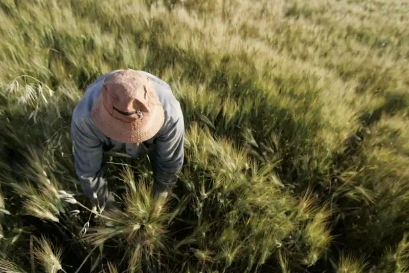 wanderlust-tips-10-cong-viec-ly-tuong-nhat-danh-cho-nhung-nguoi-dam-me-du-lich-9