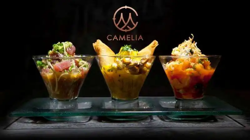 wanderlust-tips-camelia-lounge-thien-duong-giai-tri-ve-dem-dang-cap-bac-nhat-ha-noi-0