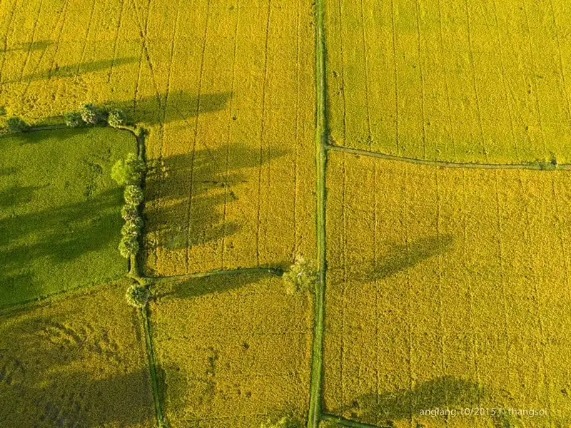 wanderlust-tips-chiem-nguong-3-mien-bac-trung-nam-voi-diem-nhin-tu-tren-cao-19