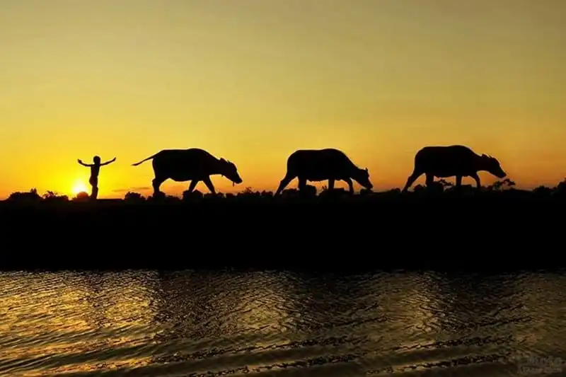 wanderlust-tips-ghe-tham-co-do-ninh-binh-10