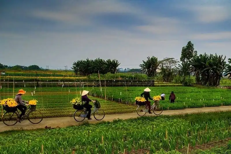 wanderlust-tips-ghe-tham-co-do-ninh-binh-6