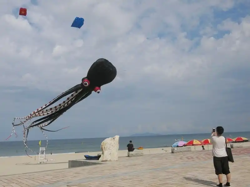 Lễ hội diều Đà Nẵng chào mừng Quốc khánh 2/9 15 wanderlust-tips-le-hoi-dieu-da-dang-chao-mung-quoc-khanh-2-9-12
