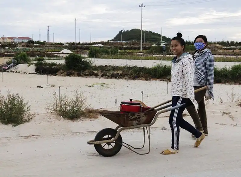 wanderlust-tips-ly-son-mua-thu-hoach-hanh-tim-1