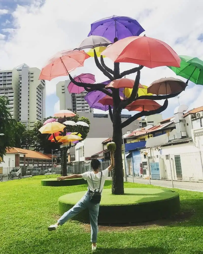 wanderlust-tips-mot-ngay-kham-pha-khu-tieu-day-mau-sac-o-singapore-11