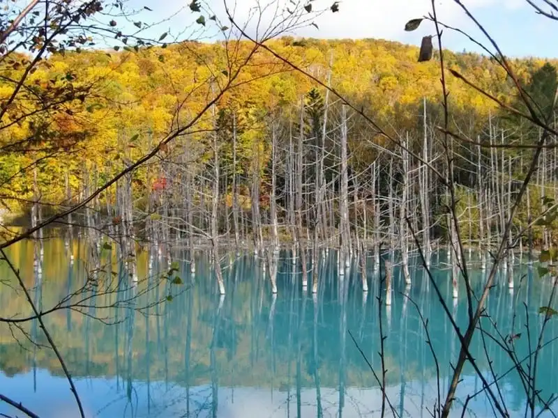 wanderlust-tips-ngo-ngnang-mau-nuoc-lam-ngoc-ky-dieu-cua-ho-blue-pond-nhat-ban-4