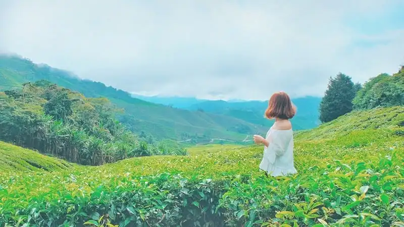 Những bộ ảnh du lịch đẹp như mơ của giới trẻ Việt (Phần 1) 12 wanderlust-tips-nhung-bo-anh-du-lich-dep-nhu-mo-cua-gioi-tre-viet-31