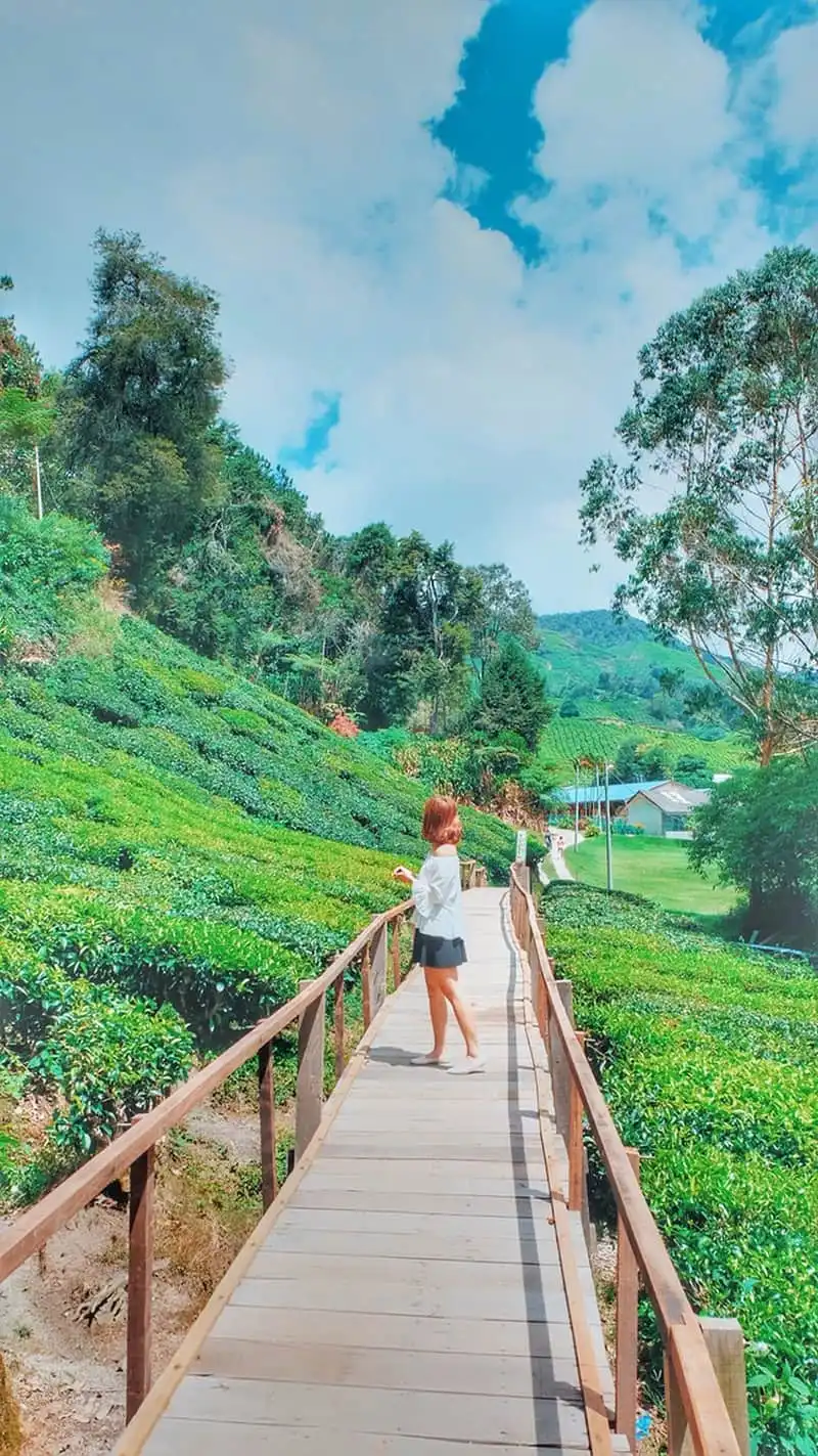 Những bộ ảnh du lịch đẹp như mơ của giới trẻ Việt (Phần 1) 14 wanderlust-tips-nhung-bo-anh-du-lich-dep-nhu-mo-cua-gioi-tre-viet-33