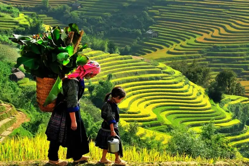 Tháng 9 chờ đón mùa vàng Mù Căng Chải 6 wanderlust-tips-thang-9-cho-don-mua-vang-mu-cang-chai-2