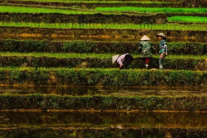 wanderlust-tips-viet-nam-an-tuong-qua-goc-nhin-cua-nhiep-anh-gia-tho-nhi-ky-4