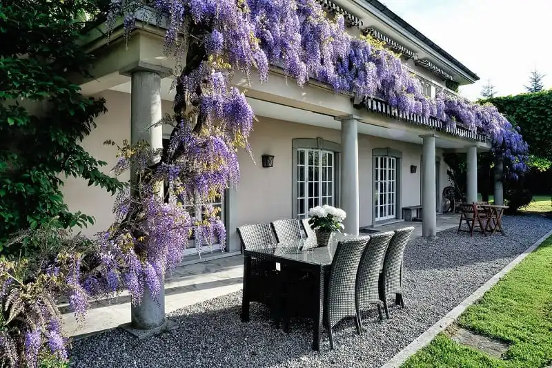 wanderlust_tips_10_ngoi_nha_cho_thue_7