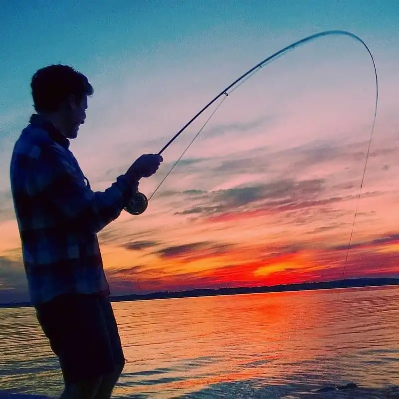 wanderlust_tips_Dep-me-hon-thi-tran-bi-lang-quen-o-New-York 6