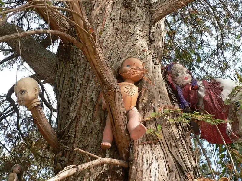 wanderlust_tips_am-anh-dao-bup-be-ma-quai-o-Mexico 6