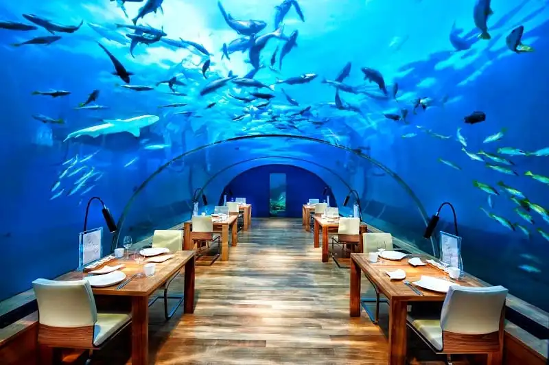 Đến Maldives trải nghiệm ẩm thực dưới lòng đại dương 10 wanderlust_tips_den-Maldives-trai-nghiem-am-thuc-duoi-long-dai-duong-4