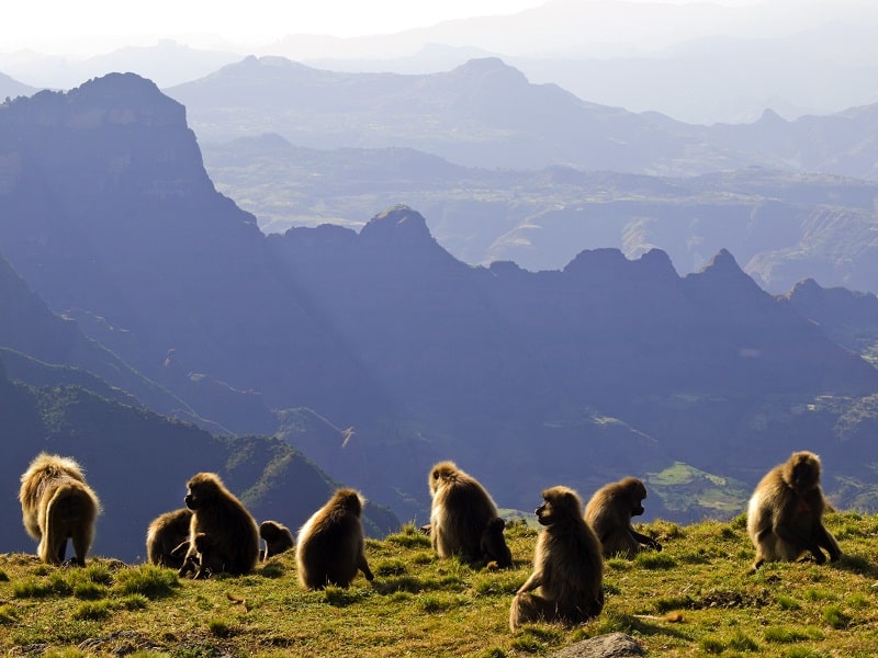 wanderlust tips du lich Ethiopia bung no nho di san 1