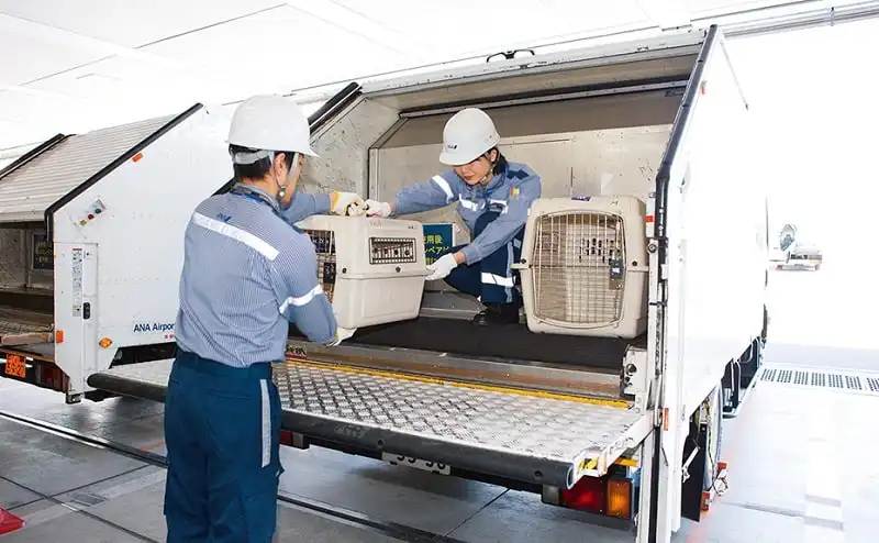 wanderlust_tips_hang-hang-khong-Nhat-Ban-thu-nghiem-cho-thu-cung-len-may-bay-2