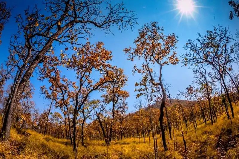 wanderlust_tips_mua_thu_vang_viet_nam_3