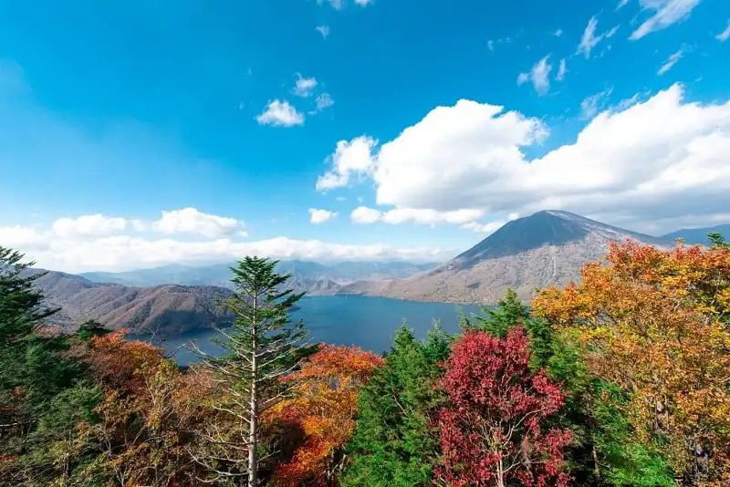 Nhật Bản mùa lá đỏ 7 wanderlust_tips_nhat_ban_mua_la_do_3