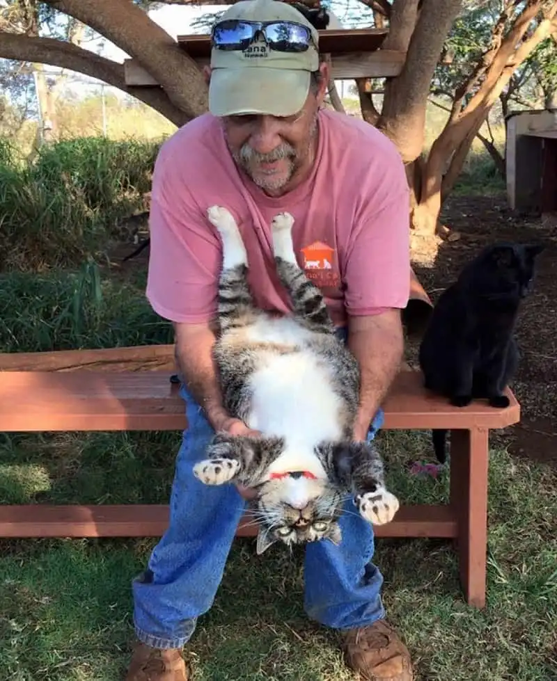 wanderlust_tips_thien_duong_meo_hawaii_4