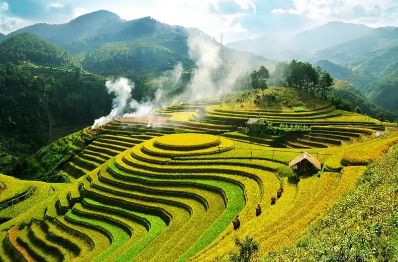 wanderlust_tips_thoi_diem_ly_tuong_cung_duong_vang_1