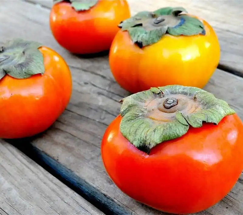 Những thức quà đặc biệt của mùa thu Hà Nội 9 wanderlust_tips_thuc_qua_mua_thu_ha_noi_5