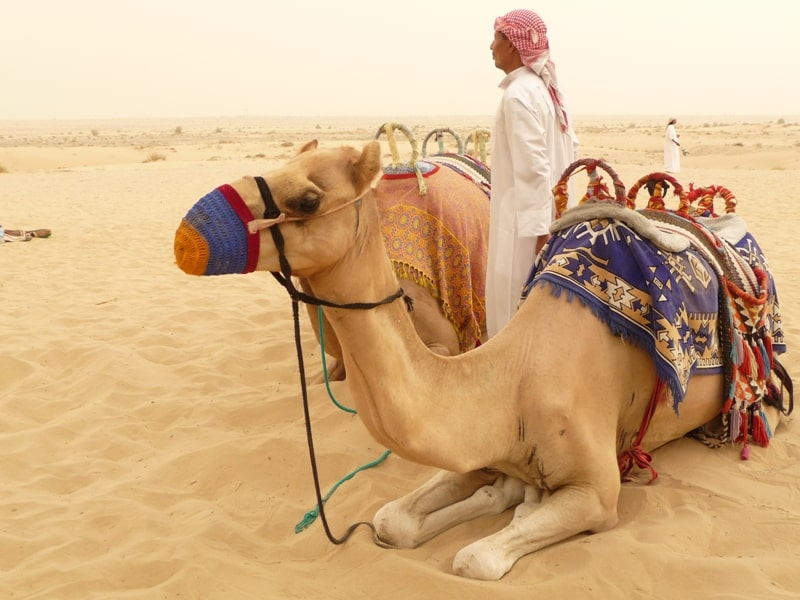 10 địa điểm du lịch hè hấp dẫn nhất tại Dubai