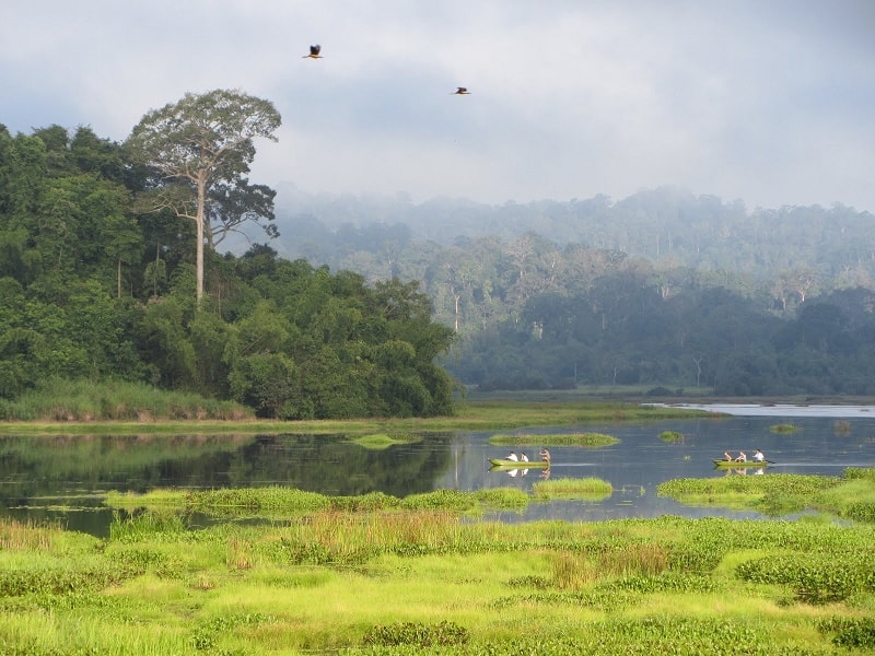 Vi vu Bình Phước ngày thu sang 5 wanderlust tips binh phuoc sang thu 5
