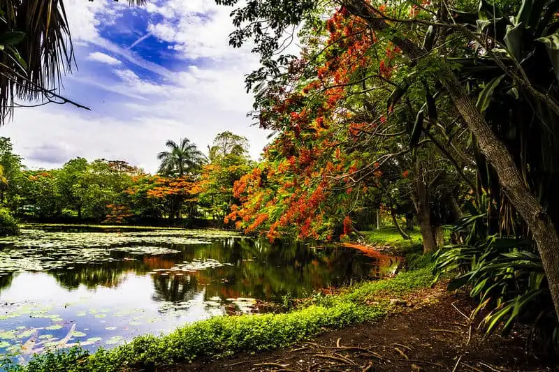 14 điểm đến hút hồn du khách tới Cuba 16 Wanderlust_tips_14-diem-den-hut-hon-du-khach-toi-Cuba-12