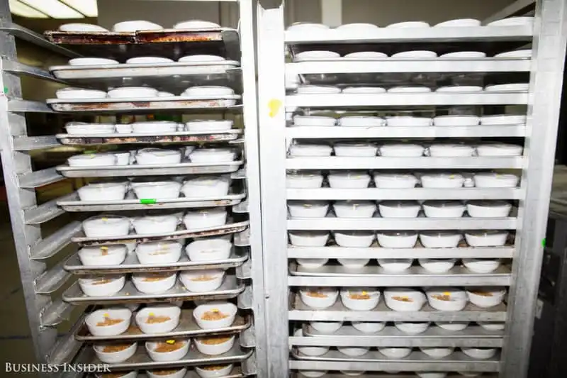 Wanderlust_tips_Dot-nhap-khu-che-bien-so-an-cua-United-Airlinesi-13