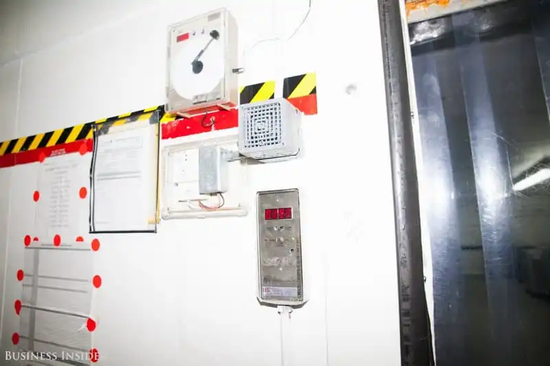 Wanderlust_tips_Dot-nhap-khu-che-bien-so-an-cua-United-Airlinesi-14